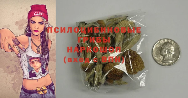 не бодяженный Аркадак